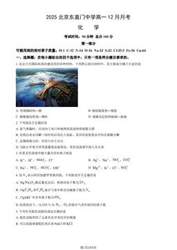 2025北京东直门中学高一12月月考化学（教师版）-答案