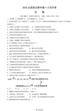 2025北京贸大附中高一3月月考生物（教师版）-答案