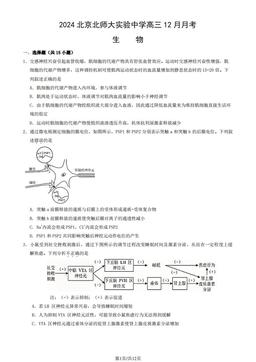 2024北京北师大实验中学高三12月月考生物（教师版）-答案