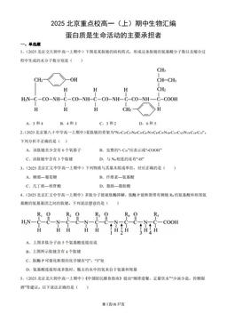 2025北京重点校高一（上）期中生物汇编：蛋白质是生命活动的主要承担者-答案