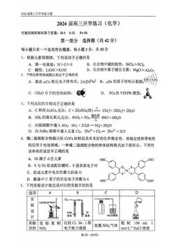 2026北京八中高三（下）开学考化学（教师版）-答案