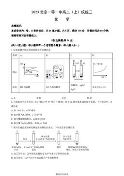2023北京一零一中高二（上）统练三化学（教师版）-答案