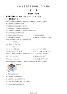 2026北京理工大附中高二（上）期末化学（教师版）-答案