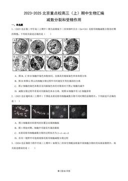 2023-2025北京重点校高三（上）期中生物汇编：减数分裂和受精作用-答案