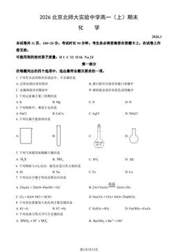 2026北京北师大实验中学高一（上）期末化学（教师版）-答案