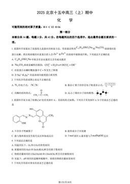 2025北京十五中高三（上）期中化学（教师版）-答案