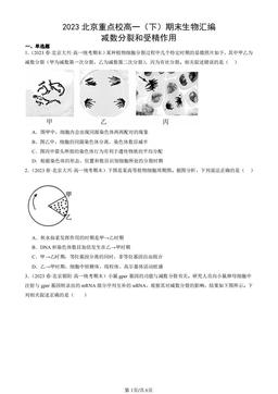2023北京重点校高一（下）期末生物汇编：减数分裂和受精作用-答案