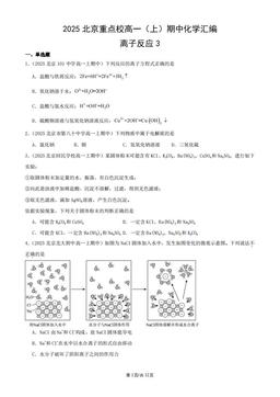 2025北京重点校高一（上）期中化学汇编：离子反应3-答案