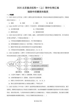2025北京重点校高一（上）期中生物汇编：细胞中的糖类和脂质-答案