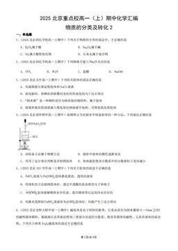 2025北京重点校高一（上）期中化学汇编：物质的分类及转化2-答案