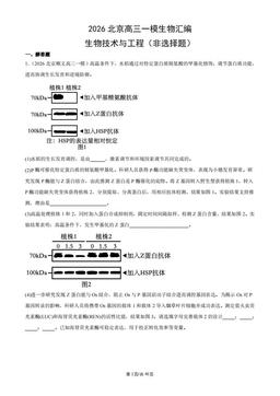 2026北京高三一模生物汇编：生物技术与工程（非选择题）-答案