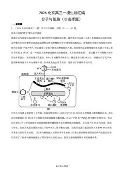 2026北京高三一模生物汇编：分子与细胞（非选择题）-答案