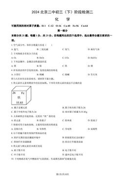 2024北京二中初三（下）阶段检测二化学（教师版）-答案