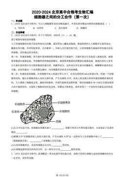 2020-2024北京高中合格考生物汇编：细胞器之间的分工合作（第一次）-答案