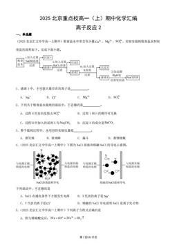 2025北京重点校高一（上）期中化学汇编：离子反应2-答案