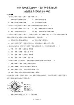 2025北京重点校高一（上）期中生物汇编：细胞是生命活动的基本单位-答案