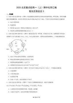 2025北京重点校高一（上）期中化学汇编：氧化还原反应3-答案