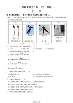 2023北京大兴高一（下）期末化学（教师版）-答案