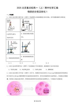2025北京重点校高一（上）期中化学汇编：物质的分类及转化1-答案
