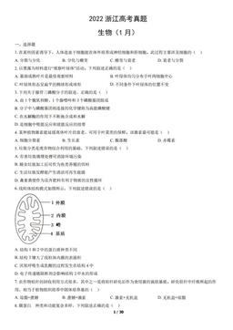 2022浙江高考真题生物（1月）（教师版）-答案
