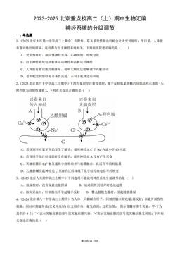 2023-2025北京重点校高二（上）期中生物汇编：神经系统的分级调节-答案