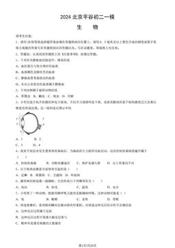 2024北京平谷初二一模生物（教师版）-答案