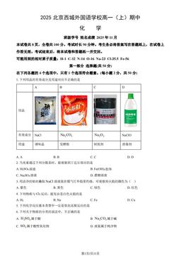 2025北京西城外国语学校高一（上）期中化学（教师版）-答案