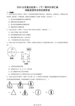2024北京重点校高一（下）期中生物汇编：核酸是遗传信息的携带者-答案