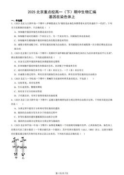 2025北京重点校高一（下）期中生物汇编：基因在染色体上-答案