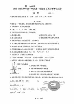 2025北京十九中高一12月月考化学-答案