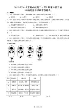 2022-2024北京重点校高二（下）期末生物汇编：细胞的基本结构章节综合-答案
