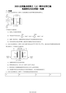 2023北京重点校高三（上）期中化学汇编：电能转化为化学能—电解-答案