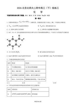 2026北京北师大二附中高三（下）统练三化学（教师版）-答案