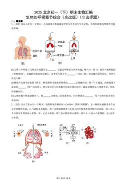 2025北京初一（下）期末生物汇编：生物的呼吸章节综合（京改版）（非选择题）-答案