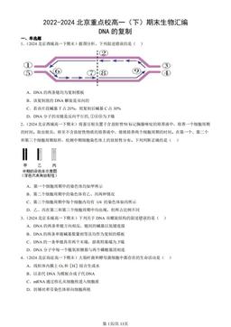 2022-2024北京重点校高一（下）期末生物汇编：DNA的复制-答案