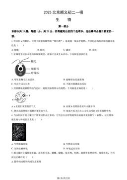 2025北京顺义初二一模生物（教师版）-答案