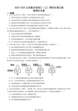 2023-2025北京重点校高三（上）期末生物汇编：植物生长素-答案