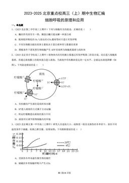 2023-2025北京重点校高三（上）期中生物汇编：细胞呼吸的原理和应用-答案