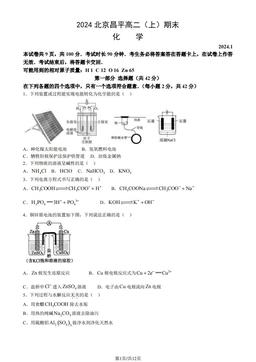 2024北京昌平高二（上）期末化学（教师版）-答案