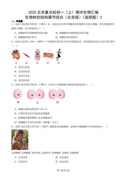 2025北京重点校初一（上）期中生物汇编：生物体的结构章节综合（北京版）（选择题）3-答案