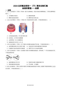 2024北京重点校初一（下）期末生物汇编：血流的管道──血管-答案