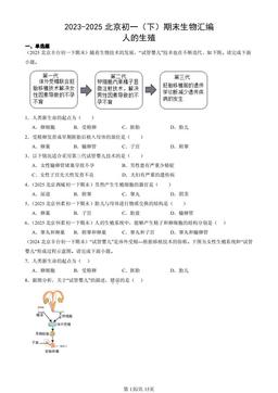 2023-2025北京初一（下）期末生物汇编：人的生殖-答案
