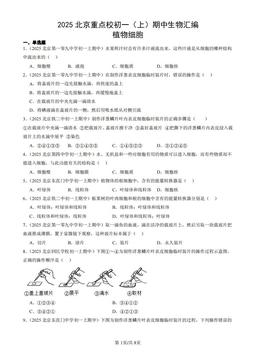 2025北京重点校初一（上）期中生物汇编：植物细胞-答案