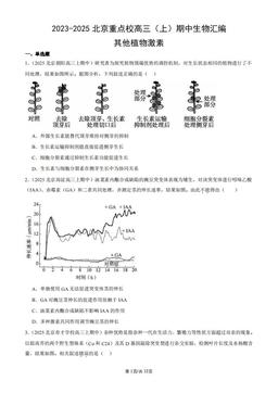 2023-2025北京重点校高三（上）期中生物汇编：其他植物激素-答案