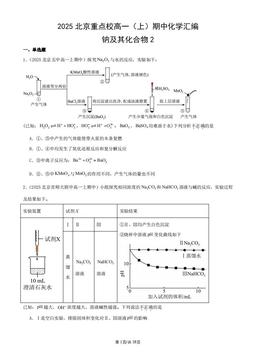 2025北京重点校高一（上）期中化学汇编：钠及其化合物2-答案