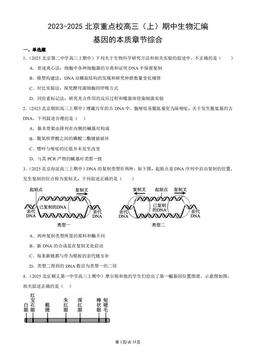 2023-2025北京重点校高三（上）期中生物汇编：基因的本质章节综合-答案