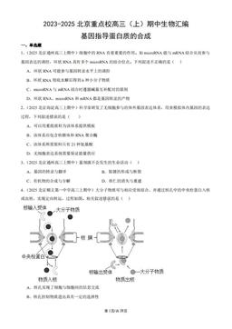 2023-2025北京重点校高三（上）期中生物汇编：基因指导蛋白质的合成-答案