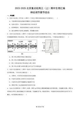 2023-2025北京重点校高三（上）期中生物汇编：神经调节章节综合-答案