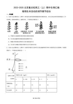 2023-2025北京重点校高三（上）期中生物汇编：植物生命活动的调节章节综合-答案
