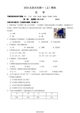 2023北京大兴高一（上）期末化学（教师版）-答案